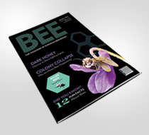 BEE Magazine Thumbnail