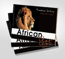 Nombuso Catalog Thumbnail